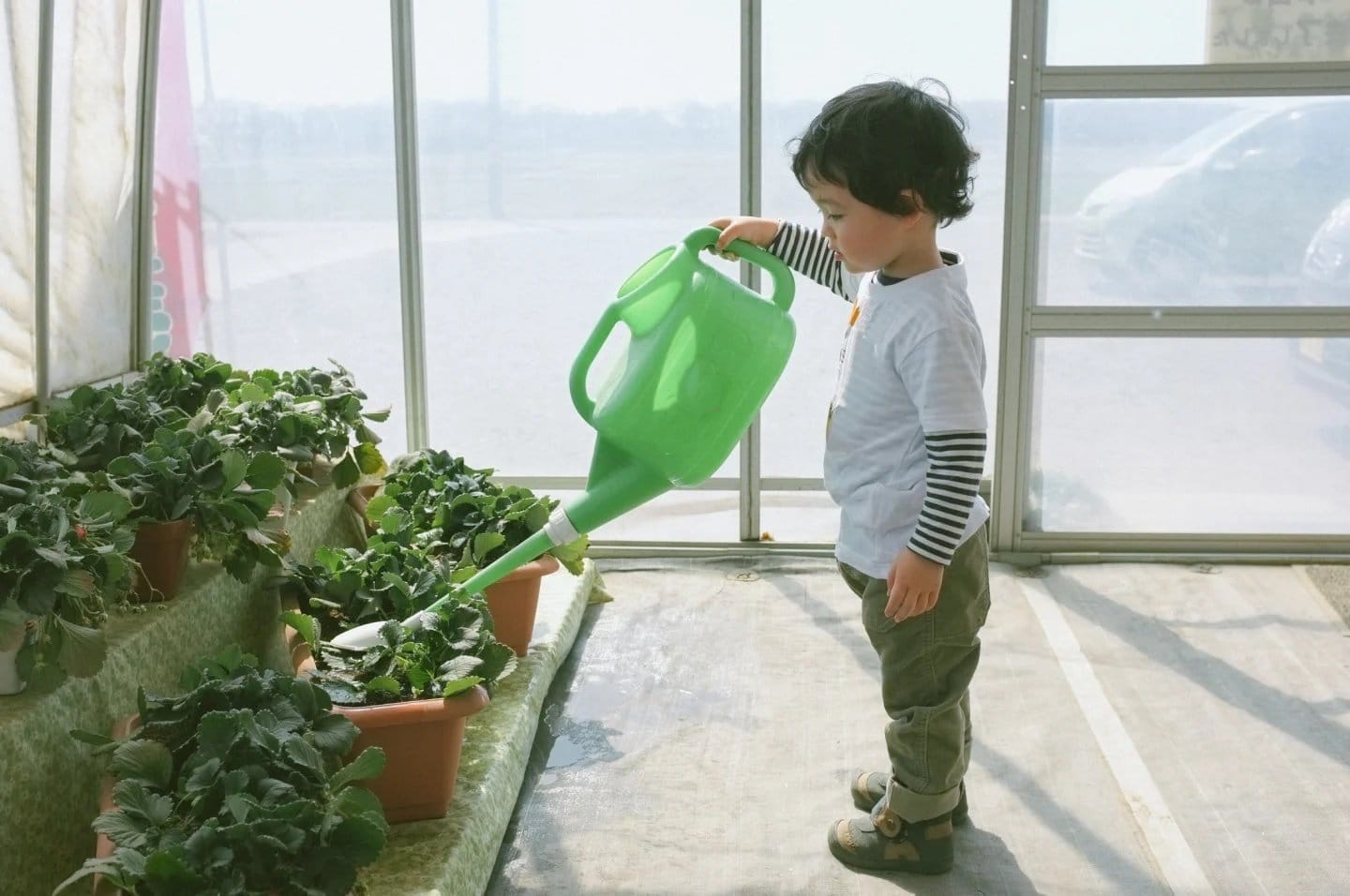 Montessori at home: Giving your child ‘purposeful work’ could be a game-changer little boy watering plants