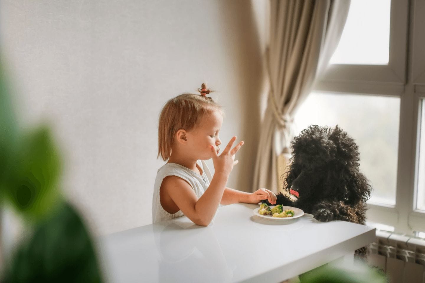 How to get your child to eat vegetables without forcing, bribing or tricking child eating veggies with dog watching
