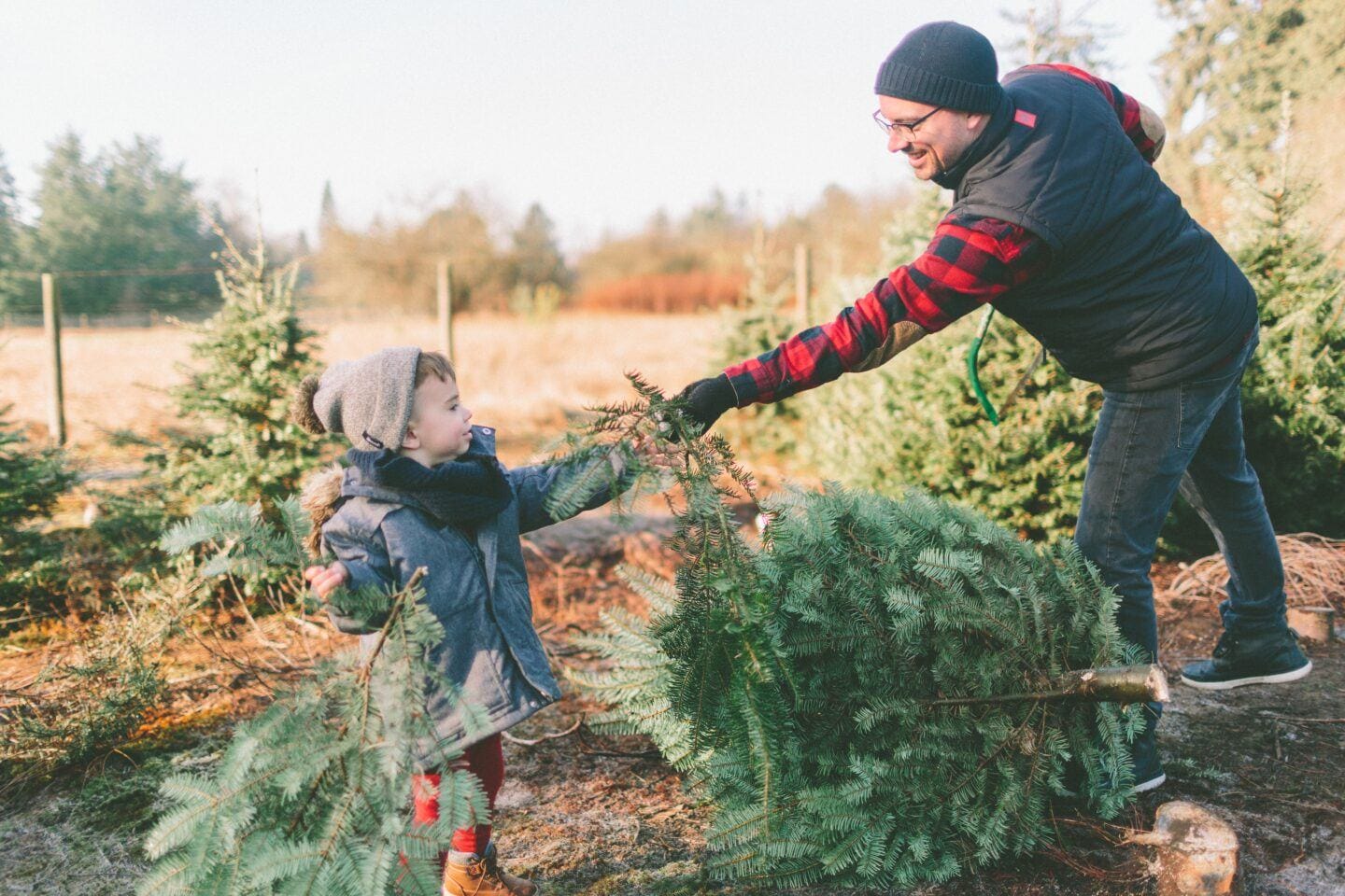 Amazon now delivers *real* Christmas trees straight to your door 🎄 dad and toddler pulling a Christmas tree at the tree farm