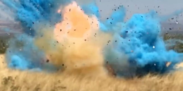Gender Reveal Sparked an $8 Million Wildfire