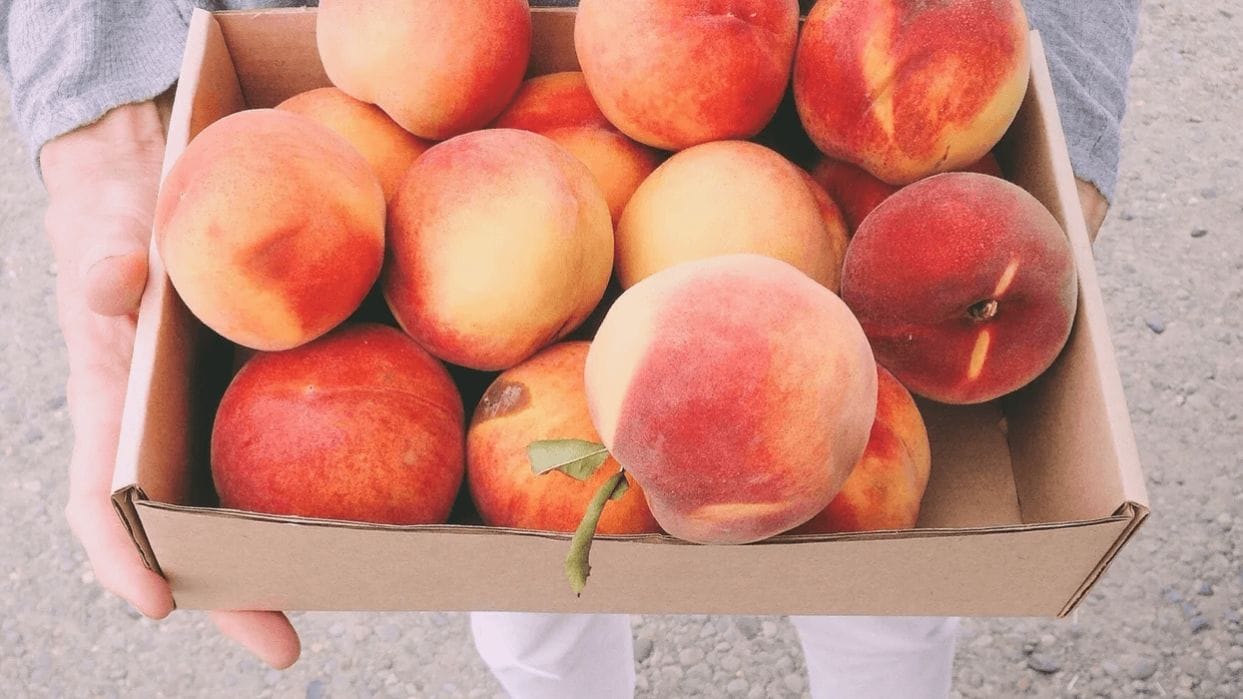 Fresh fruit recalled in 18 states: What parents need to know woman holding box of peaches