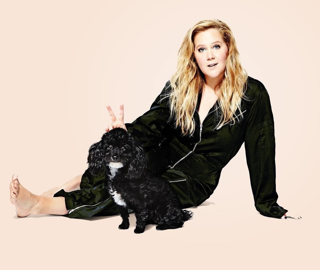 Pregnant Amy Schumer goes naked for her hilarious maternity shoot