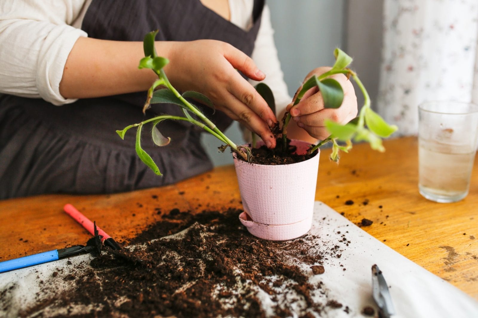 11 sustainable habits trending on Pinterest right now