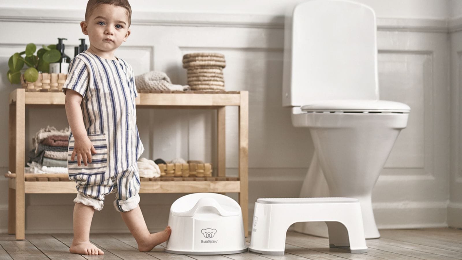 The only potty training seat you need