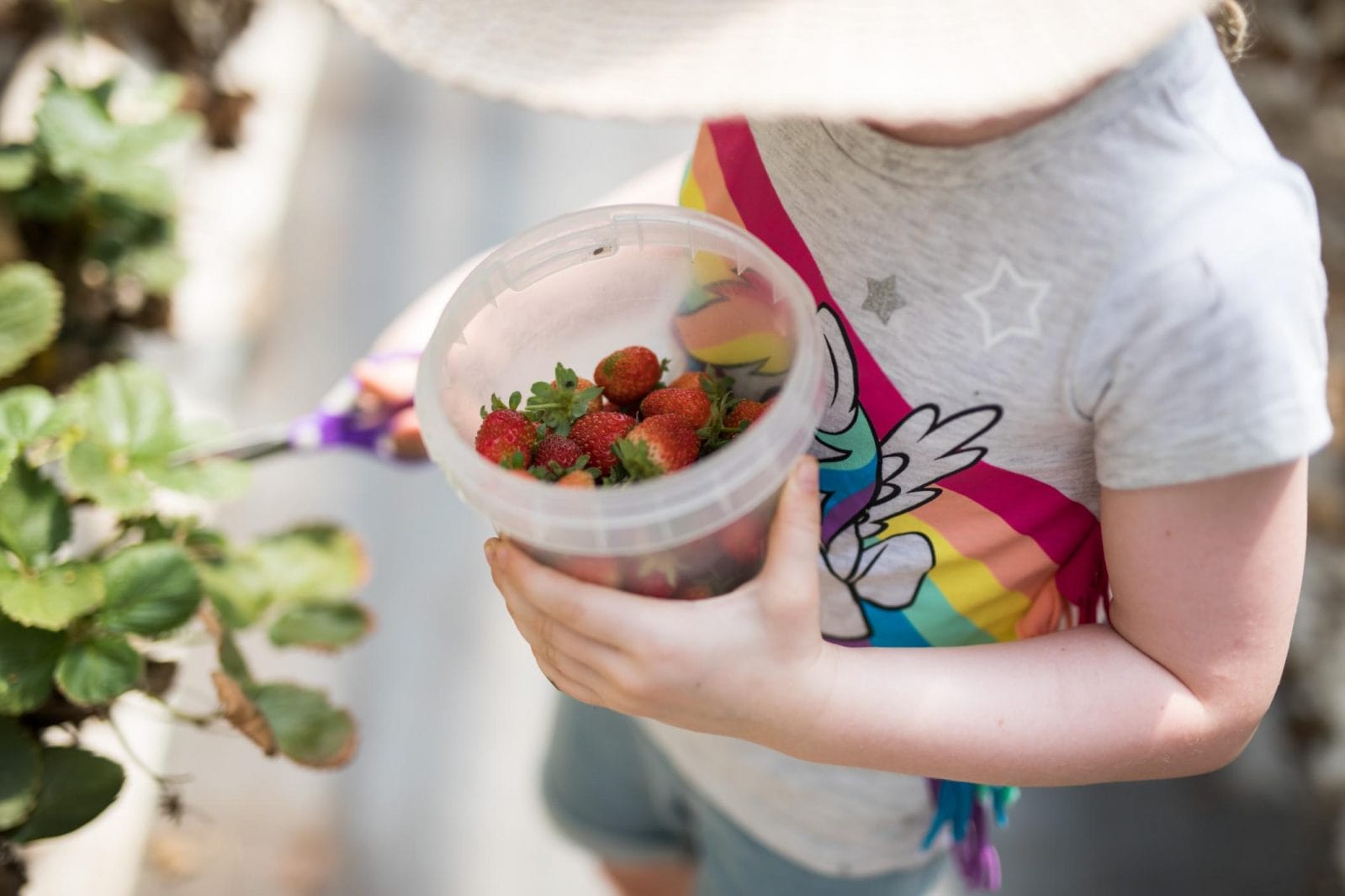 5 fruits and veggies that you can easily grow with kids
