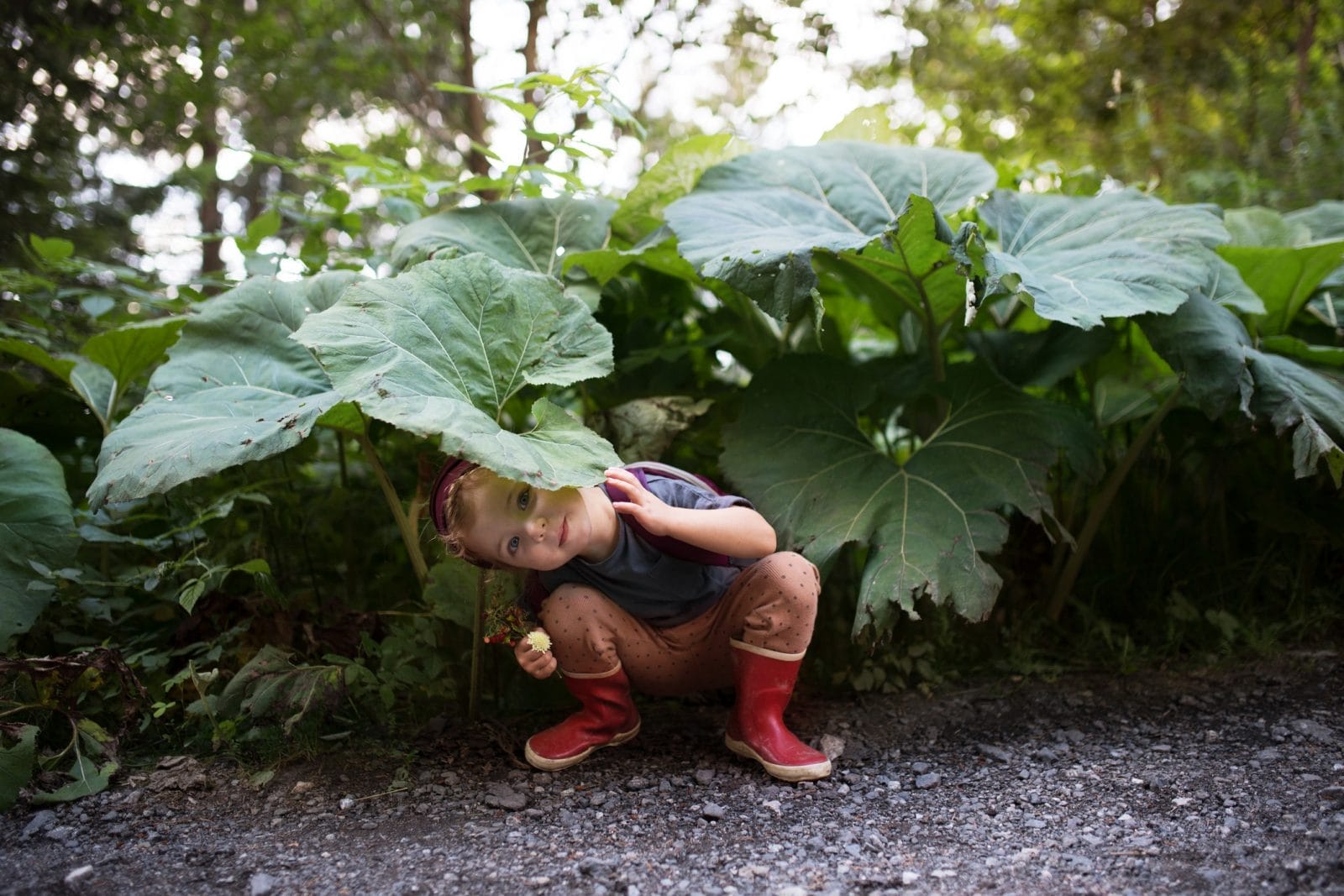 Ara Katz wants kids to love their microbiomes child-playing-in-woods