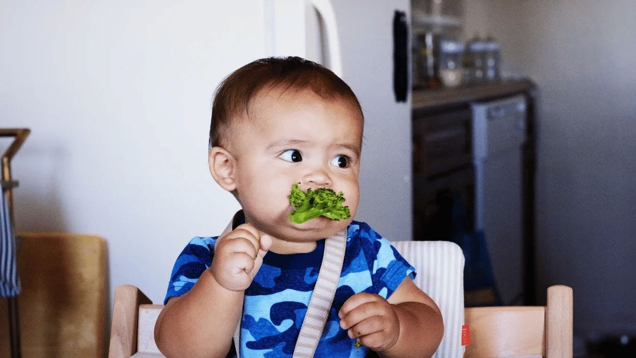 7-month-old baby feeding schedule & expert advice 7 month old baby eating lettuce - 7-month-old baby feeding schedule