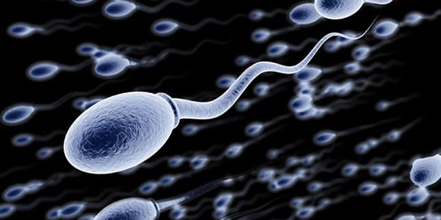 The Truth about Men’s Infertility