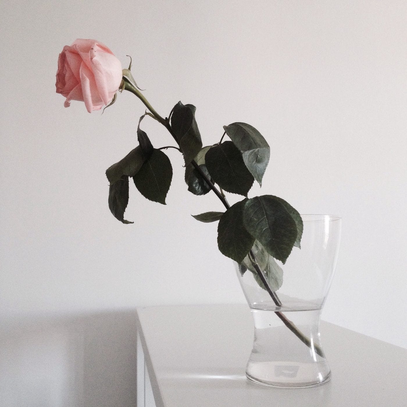 Why Mother’s Day is still special to me, even without my daughter rose