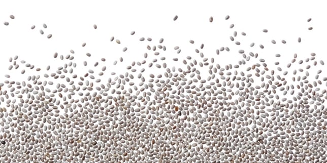Chia seeds for pregnancy picture of a bunch of chia seeds
