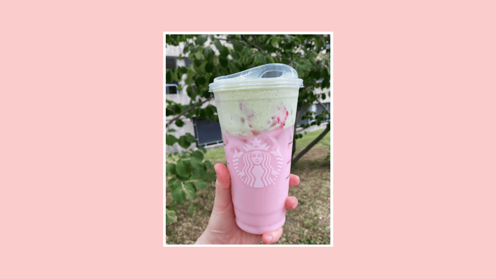 Is there a secret Starbucks drink that boosts your milk supply? Starbucks Pink Drink