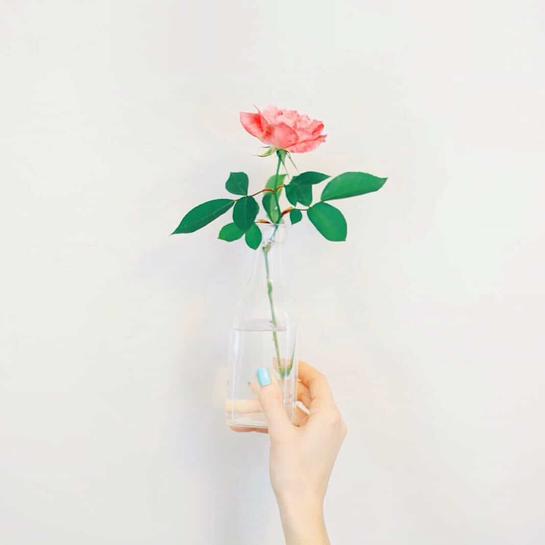 A letter to the motherless mothers