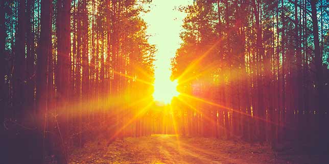 My Journey to Using A Surrogate Sunrise