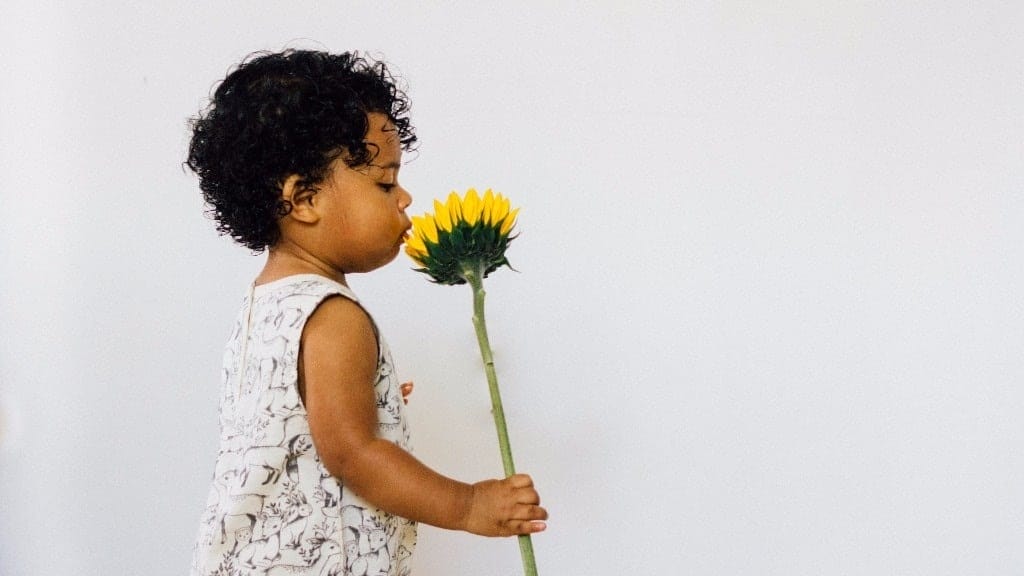 My family’s big summer plans: Do nothing