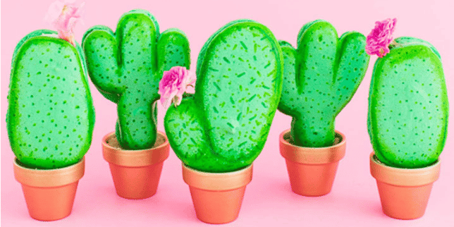 Cactus Oil: A Natural Beauty Ingredient You Should Know origin 34 - Motherly