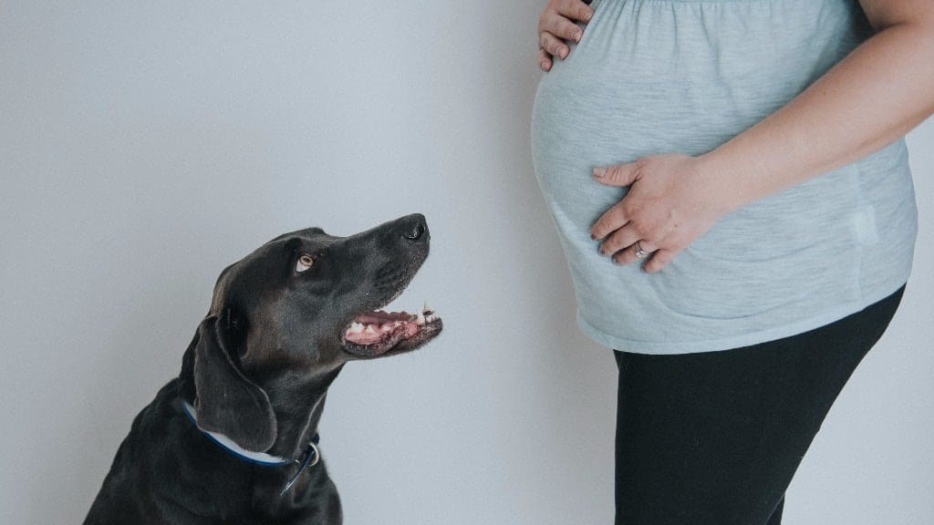 43 weird things people have ACTUALLY said to pregnant women