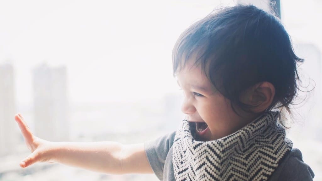 The building blocks babies need for language development