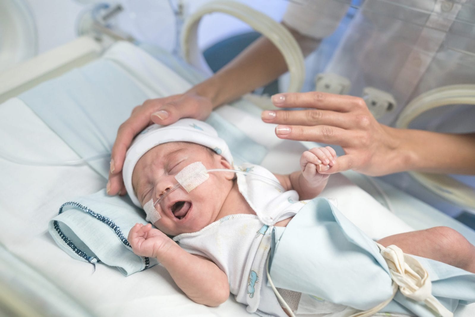Most preemie babies grow into adulthood with no serious health complications, study shows preemie baby in the NICU