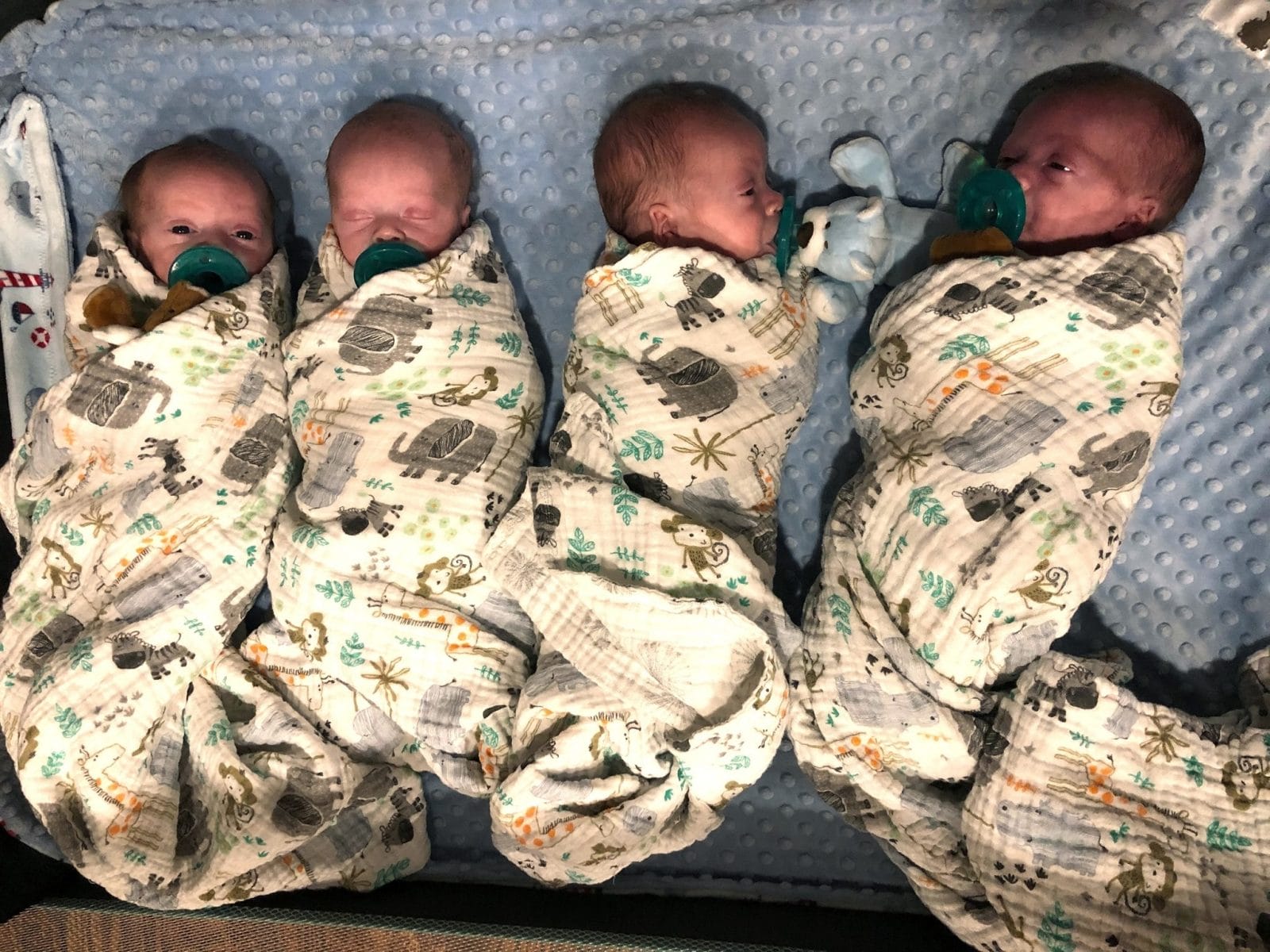 This Texas mom gave birth to rare quadruplets during a pandemic quadruplets laying side by side in a hospital