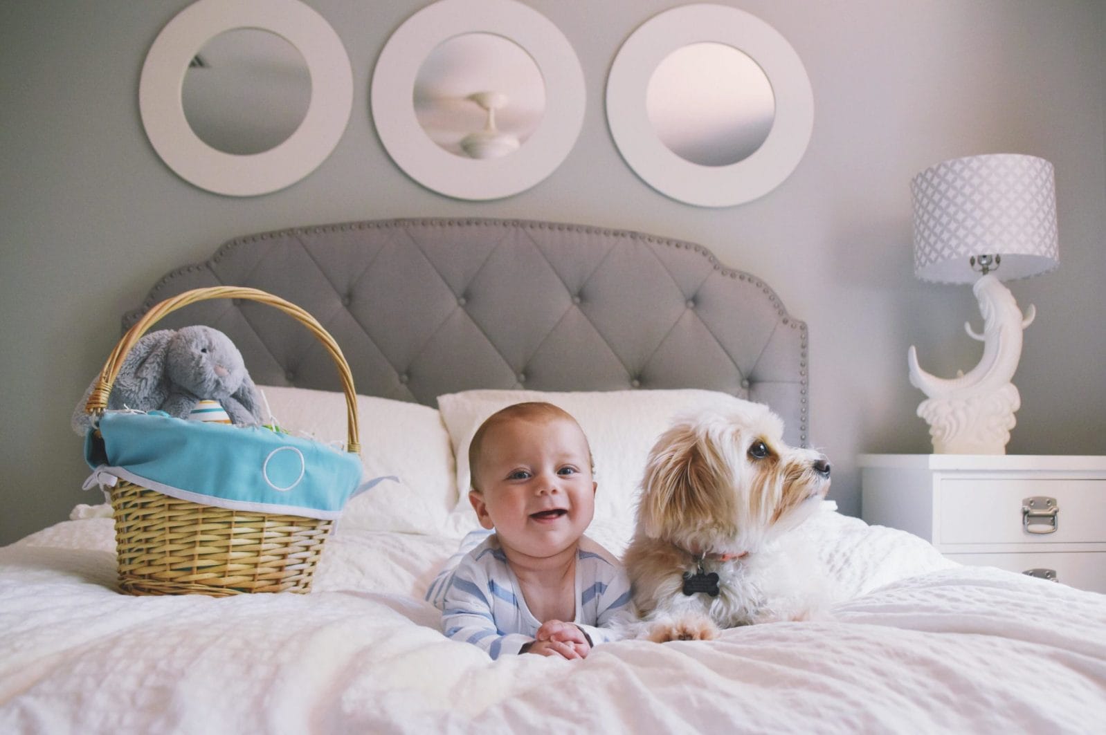 An ode to my fur baby little boy laying on a bed with a dog