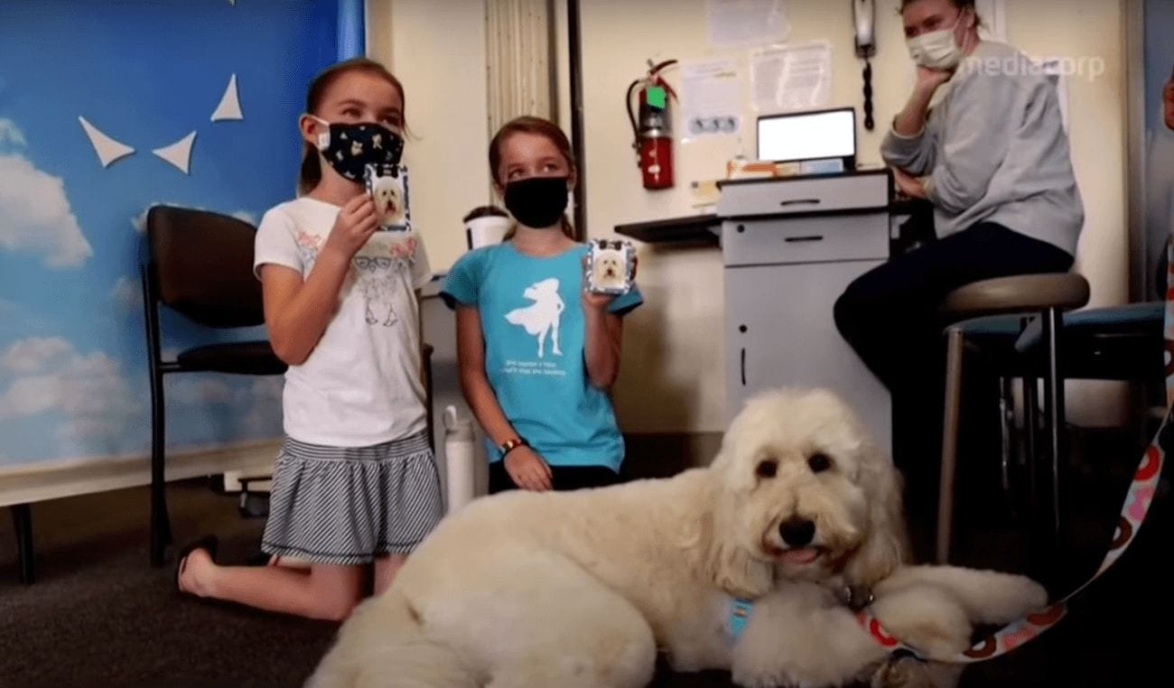 Therapy dogs offer comfort to kids getting the COVID vaccine kids-getting-covid-vaccine-therapy-dog