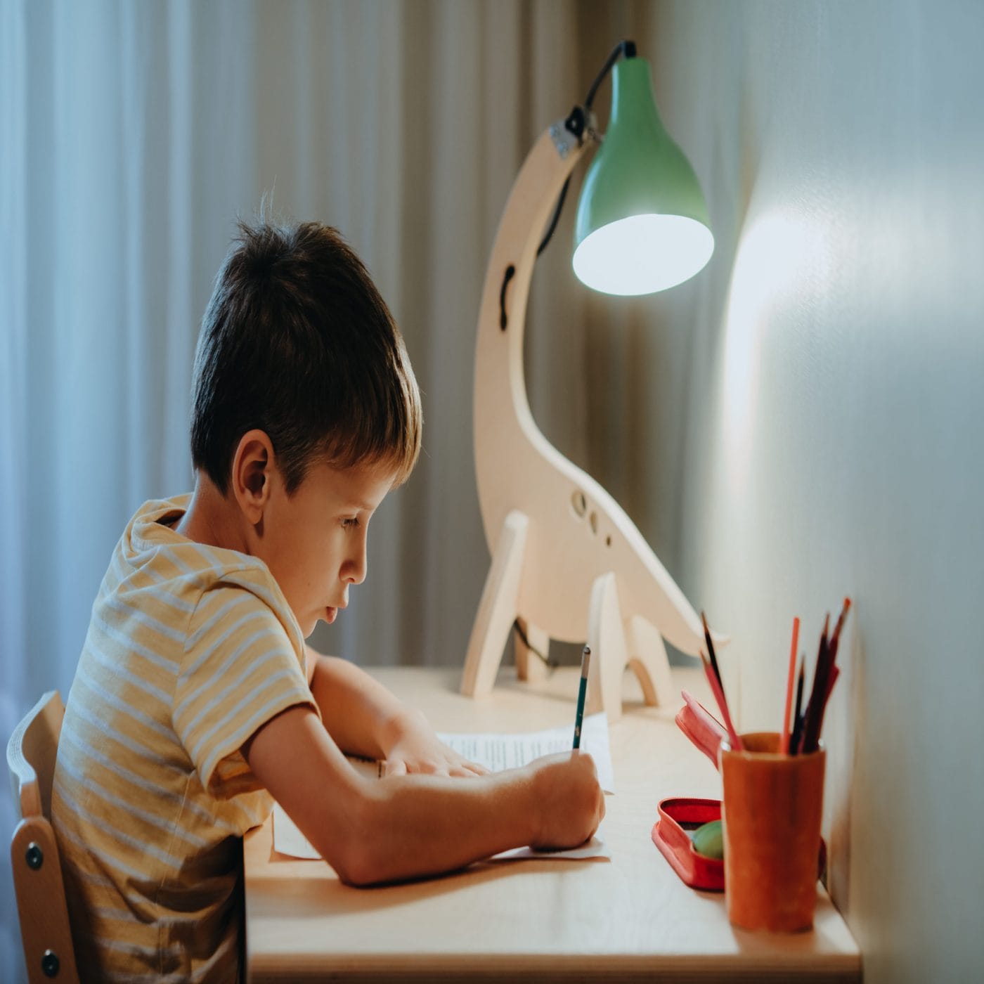 It’s science: More choline during pregnancy boosts kids’ attention Choline in pregnancy: Sustained attention. Boy doing his schoolwork at a desk under desk lamp.