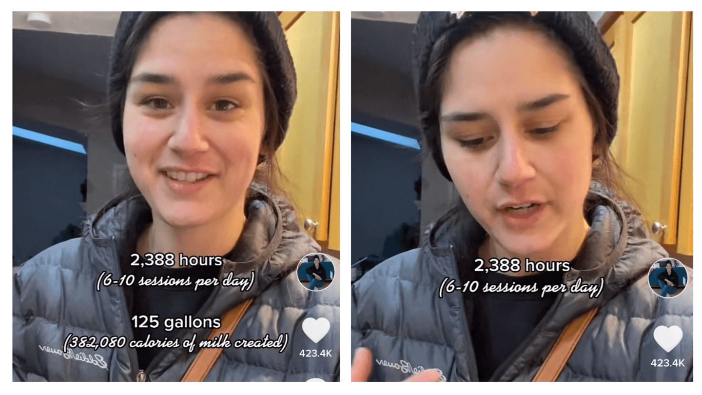 Mom calculates average of 2,388 hours of exclusive pumping in viral TikTok Elyse Myers viral tiktok exclusive pumping