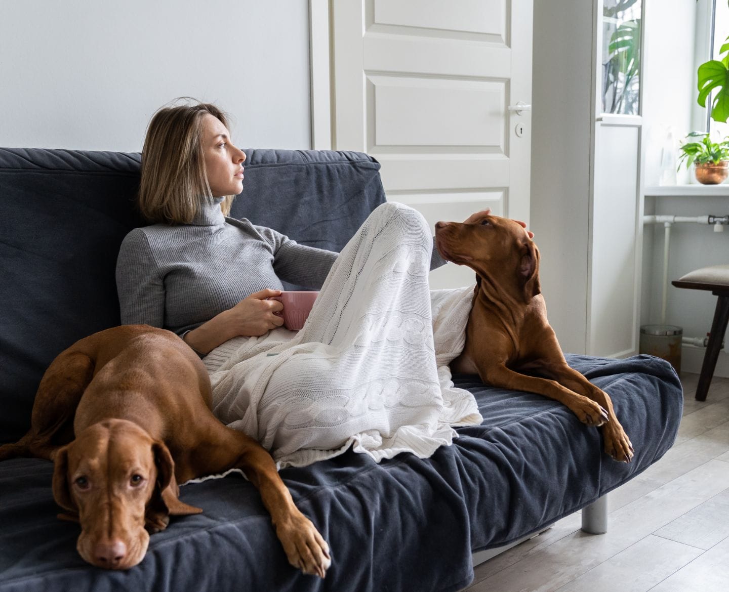 What I want you to know about Mother’s Day after miscarriage mother's day after miscarriage: woman sitting at home with two dogs