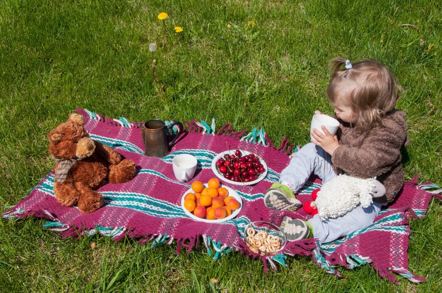 picnic with friends on a green lawn little girl sitting on a rug with plates of berries and fruits t20 ZYnQpj - Motherly