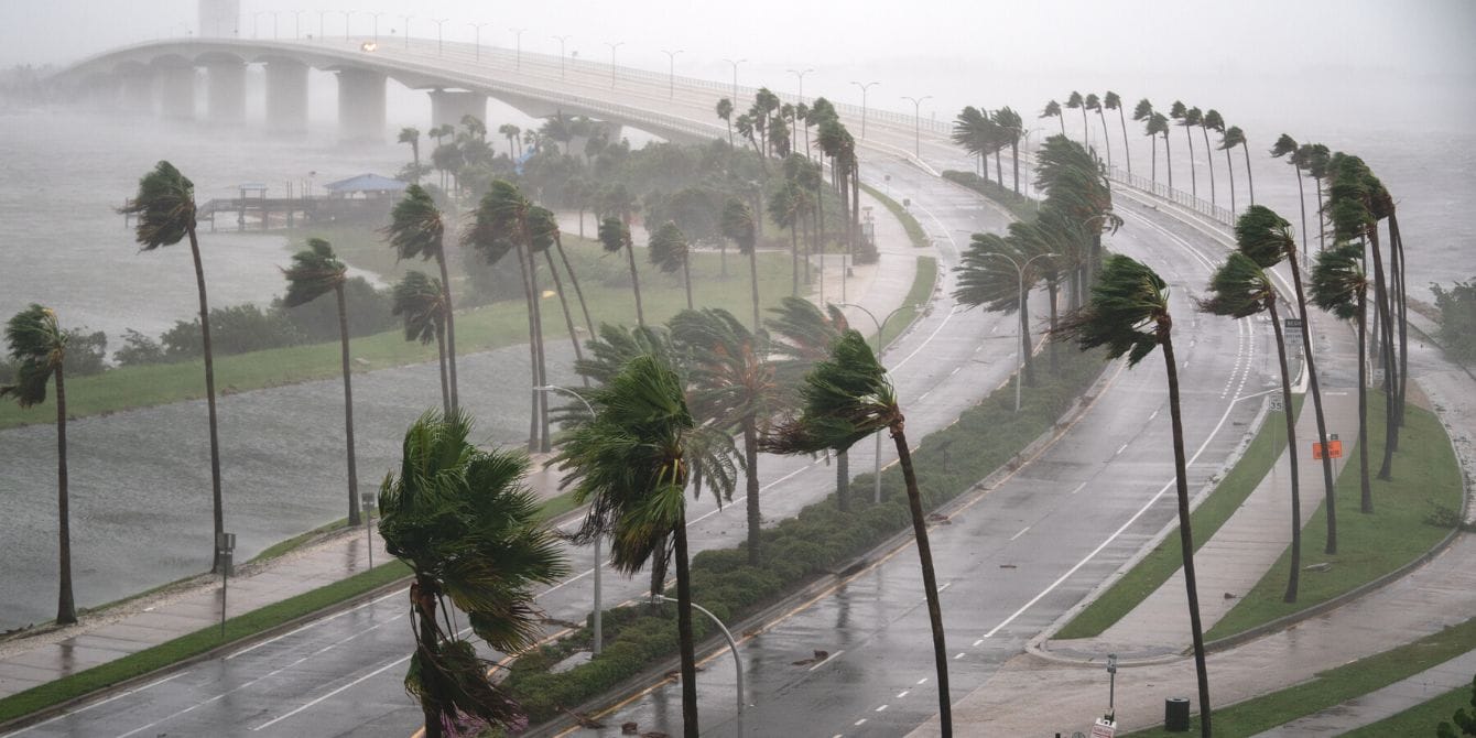 Children exposed to storms like Hurricane Ian in utero are more likely to have mental health issues Palm trees bending in rain and wind as Hurricane Ian hitting Florida coast and relationship about stress in pregnancy
