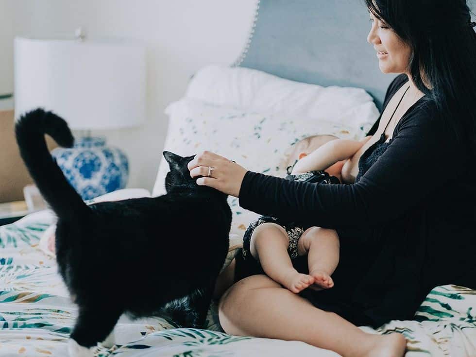 breastfeeding after c section baby nursing with cat