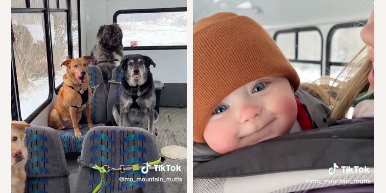 This Alaskan mom is going viral for driving a puppy bus—and yes, her baby comes too An Alaskan mom takes care of her baby and dogs
