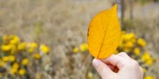 Watch how this easy sensory activity takes nature walks to a whole new level child holding fall leaf nature walk nature walk diy