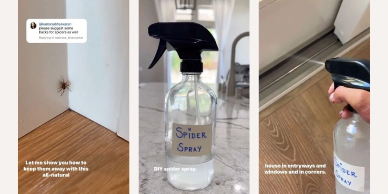 Instagrammer shares easy DIY hack for keeping spiders out of your home spray bottle with spider spray