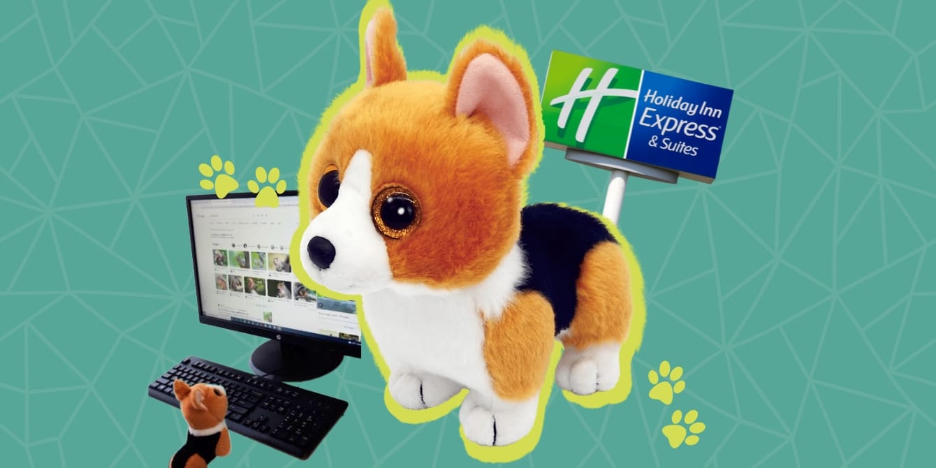 Holiday Inn Express staff documents fun adventures of a guest’s missing stuffed animal before sending it back home lost stuffed dog at hotel