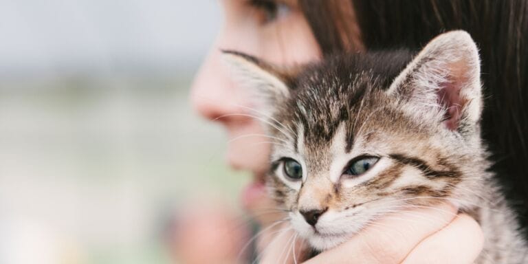Cat’s cradle: Life lessons from the family game closet  girl holding cat - most special mother's day
