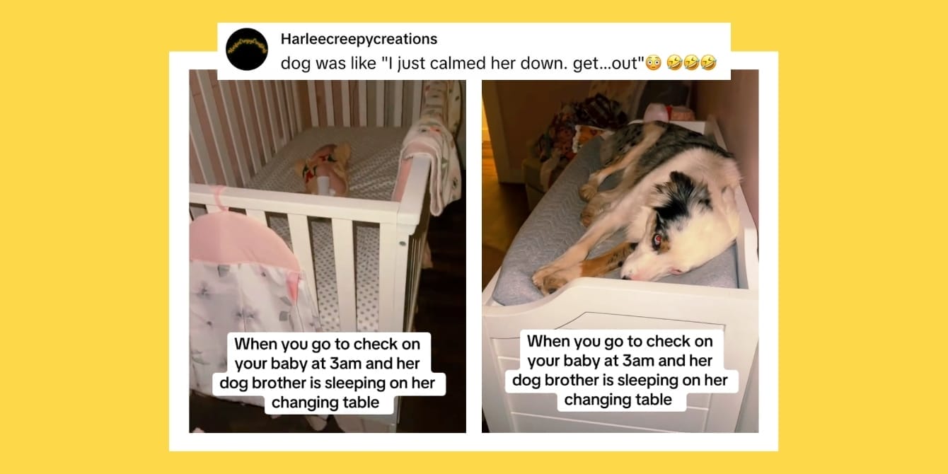 Mom checks on baby at 3 a.m.—and is stunned to see who’s on the changing table Viral dog on TikTok: An image of a dog sleeping on the baby's changing table that has gone viral online