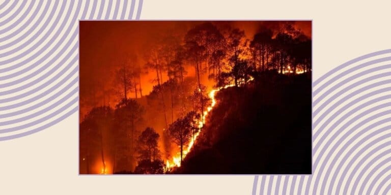 How to talk to your kids about wildfires California wildfires: An image of trees burning