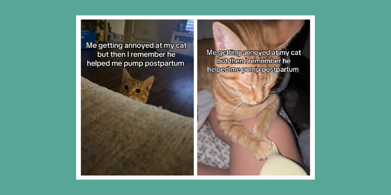 Cat sees postpartum mom struggling to pump—and does something unbelievable Viral TikTok cat