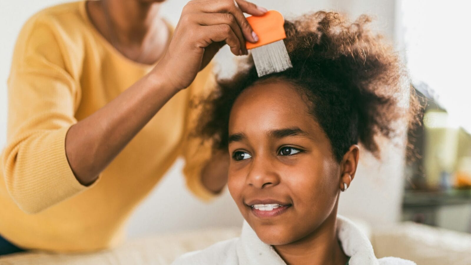 how to treat lice - Motherly