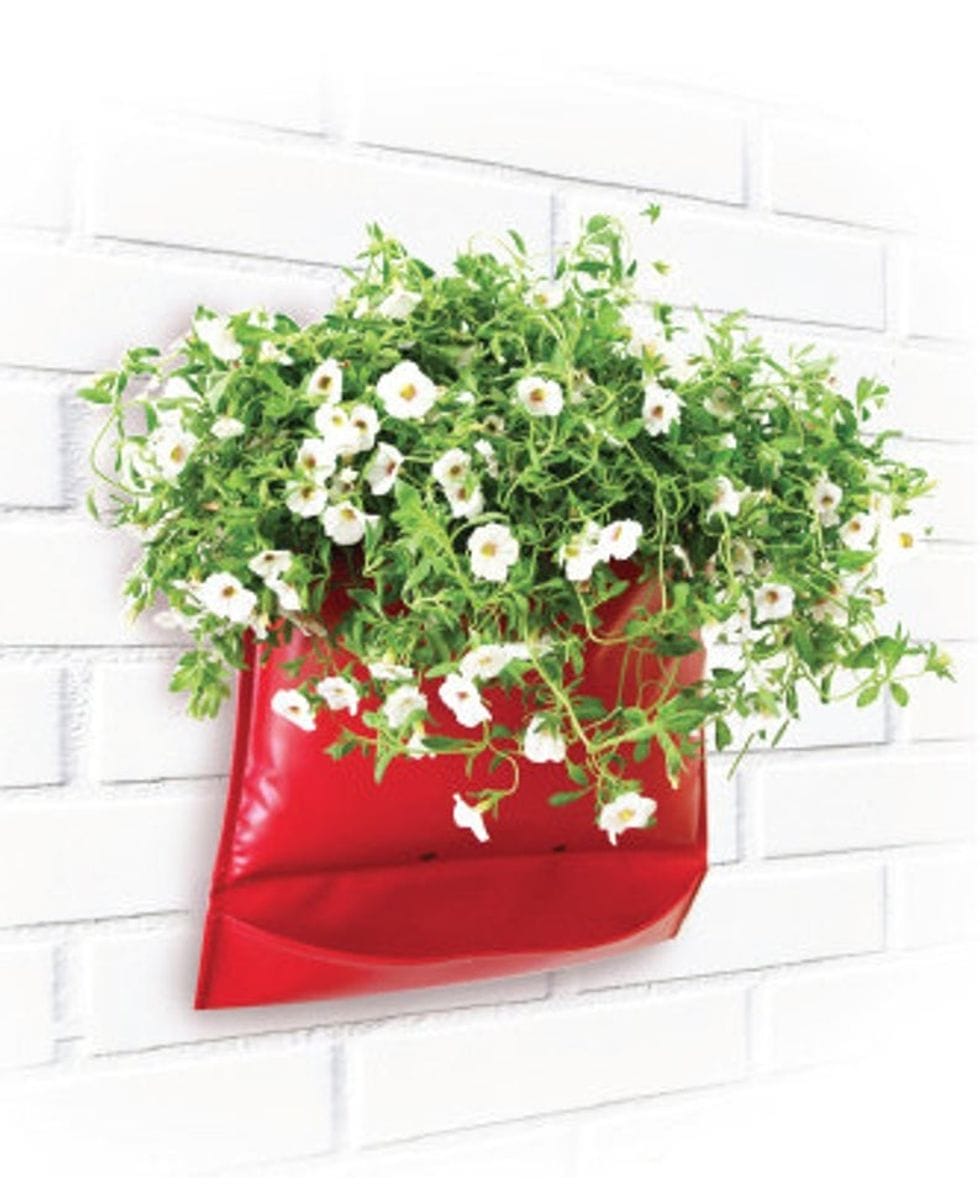 Vertical gardening kit Pocket planter and seeds