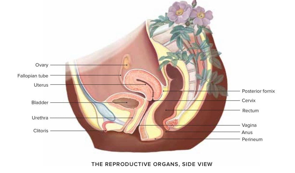 empowering ways to take care of your vagina 0 - Motherly