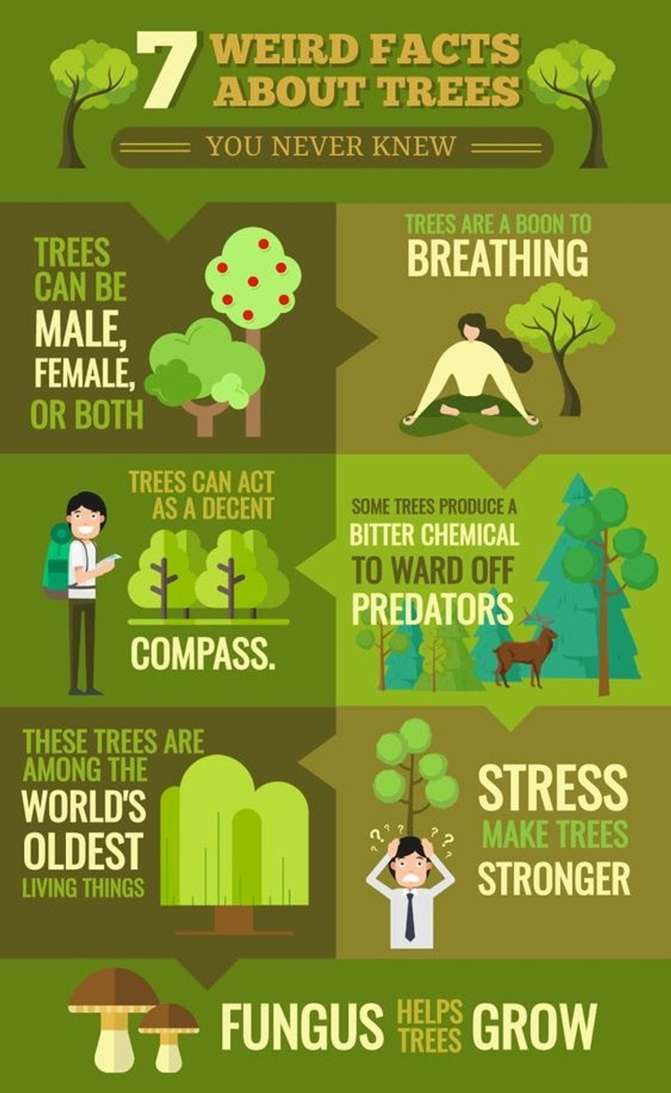 sustainable habits on pinterest right now 9 - Motherly